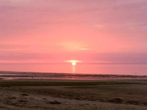 Maisons de vacances Les Volets Bleus-Charmante maison entierement equipee face a la mer pour 2 a 6 personnes : photos des chambres