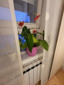 Apartman Jarun lake lux