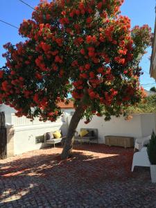 Cosy Sintra