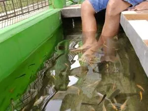 Villa RIJA By Nginep Villa - 塔旺曼谷