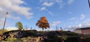 Finland, Helsinki center