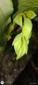 Villa Los Colibrí 10