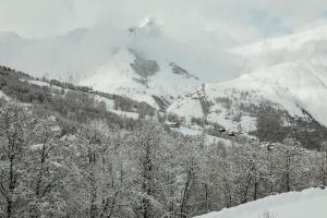 Chalets Joubarbe Rose by Lodji : photos des chambres