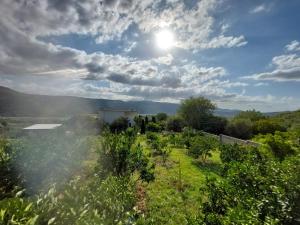 Guest House Xhaferaj