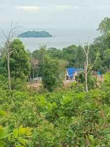 Blue Zone Hostel
