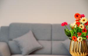 Bhargava Breeze Homestay