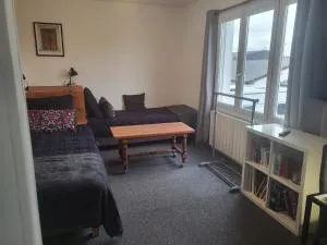 Studio 5min aéroport d'Orly 2 lits - Paray-Vieille-Poste