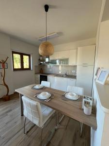 Studio Apartman Nika