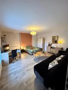 Charmant studio de 50 m2 - Semoutiers