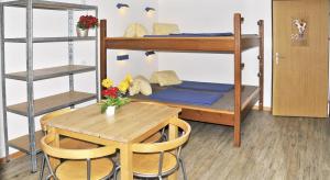 Quadruple Room Hostel with Shared Bathroom room in Camping Jungfrau