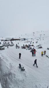 New Gudauri Apartment near the ski lift