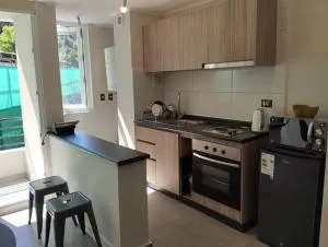 Departamento para dos en Villarrica - Huiscapi