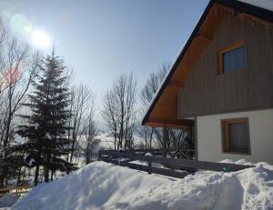 SZARE DOMKI Szczawnica