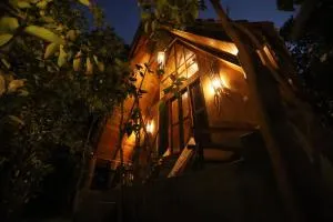 Cinnamon Paradise Cinnamon Room - Ahangama Nakanda