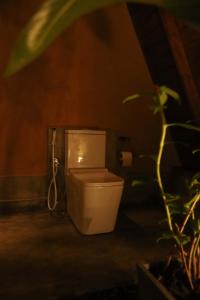 Cinnamon Paradise Cinnamon Room