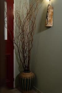 Delphian Colors - Orange Edition by Filos Inc