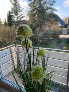 Ruhige, stadtnahe Wohnung im hamburger Westen