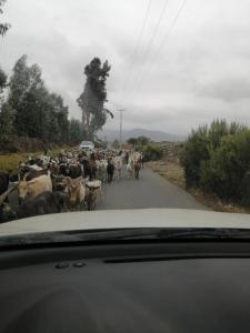 La Serena Casa Cabaña de campo entre cactus y colibríes