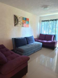 Casa el Palmar, the best house in Ixtapa