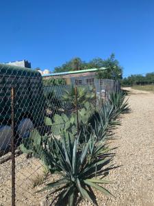 Bungalows en Los Barriles