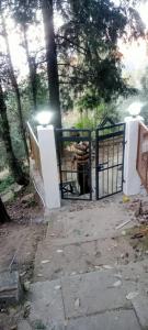 Whispering Deodar Heaven