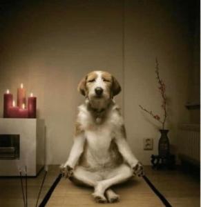 Huge house Your Hunter Valley Wine Staycation !