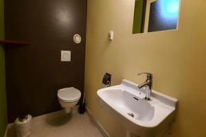 De Opkikker 10 persoons vakantiehuis met hottub