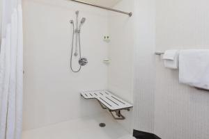 Holiday Inn Grand Rapids Downtown by IHG