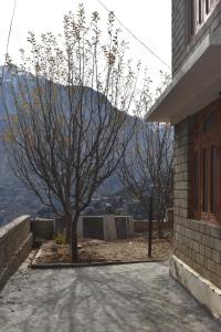 Sonam Homestay Reckong Peo