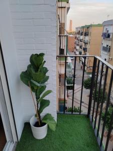 Oasis-Trianas Hallway