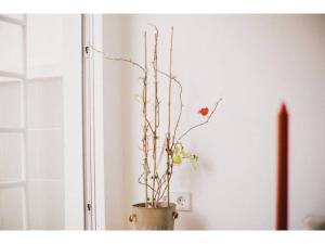 SkyLine penthouse in the heart of Madrid TET