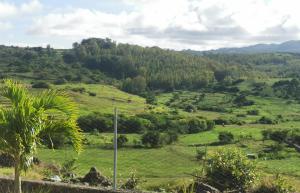 Panoramic Paradise