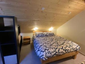 Chalets Changalan II : photos des chambres