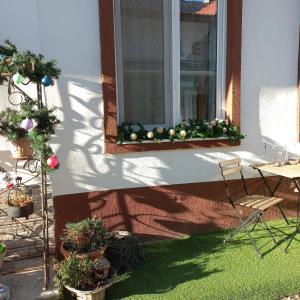 FLH - Studio Mai cu aroma de cafea si ceai