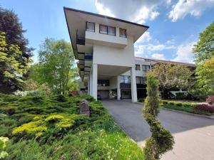 Cvrkut Ptica - Mladenovac