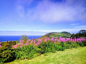 Casa-Azores Por do Sol