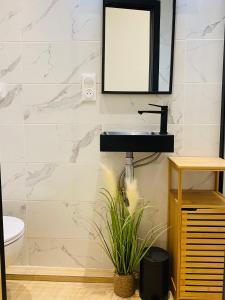 Studio avec terrasse centre historique