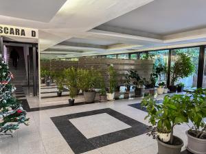 Garden Apartment - Herastrau Park 3min Walk