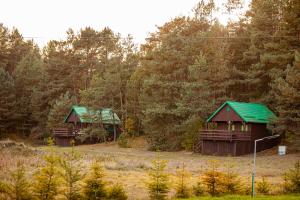 Camping Wyzwanie Bory Tucholskie