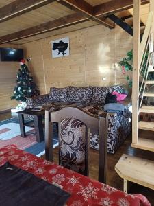 Карпатський котедж Karpatian cottage