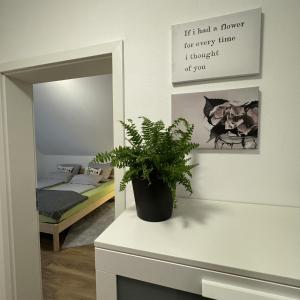 Ferienwohnung Auf Der Höll