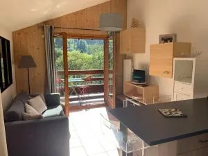 Appartement vue piste de ski - 阿尔利河畔普拉兹