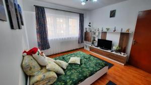 Bubu Apartament