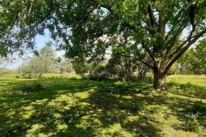 Lima - Casa rural - Pileta - 11 camas