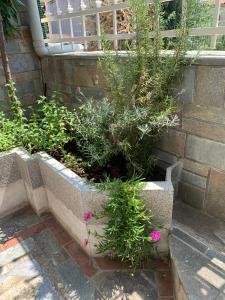 Gemütliches Appartement in Ano Poli