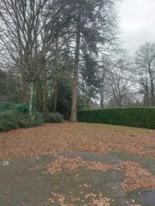 Appartements Studio RENNES nord ST GREGOIRE : photos des chambres