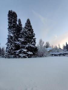 Nina`s GuestHouse, Jämsä City,160 m2