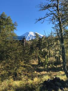 Domo & Tinaja EL GRANERO