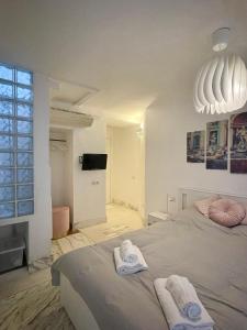 Domus Massimiliani Guesthouse