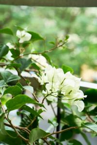 K homestay near Hoan Kiem lake